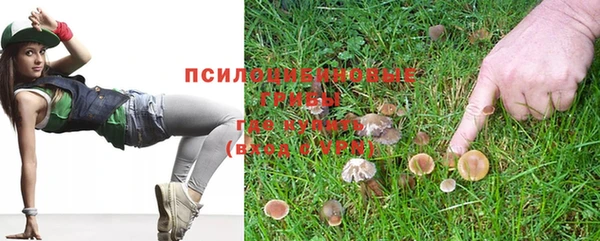 стафф Белокуриха