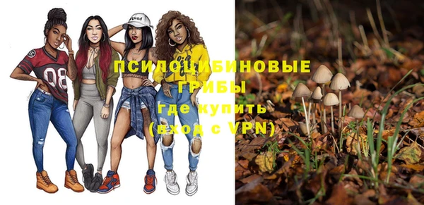 ешки Богданович