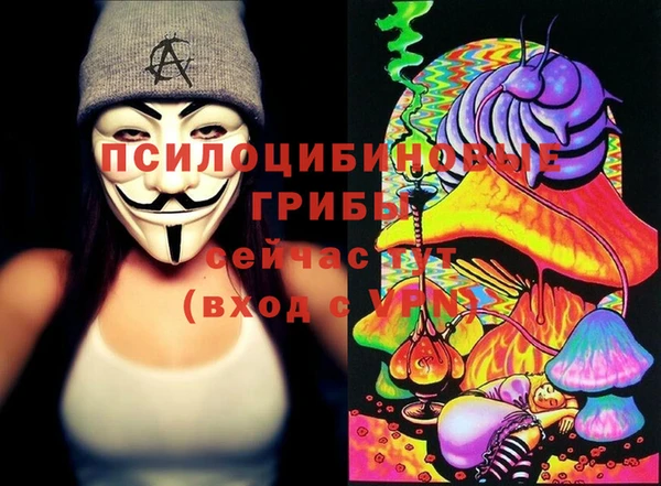 стафф Белокуриха